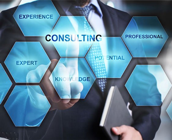 Expert Consultation